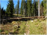 Stara Fužina - Planina Vodični vrh